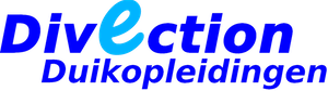 divection logo